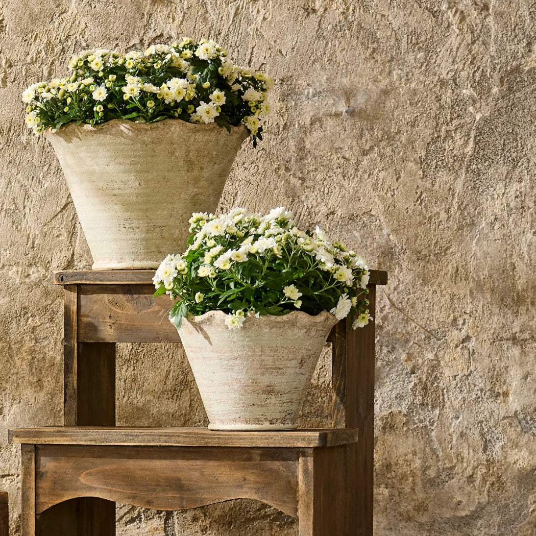 Two flower pots with white flowers on a wooden step against a stone wall.