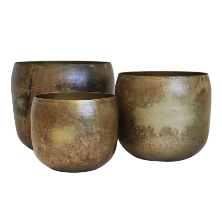 Haveli Antique Brass Finish Planters - 3 sizes