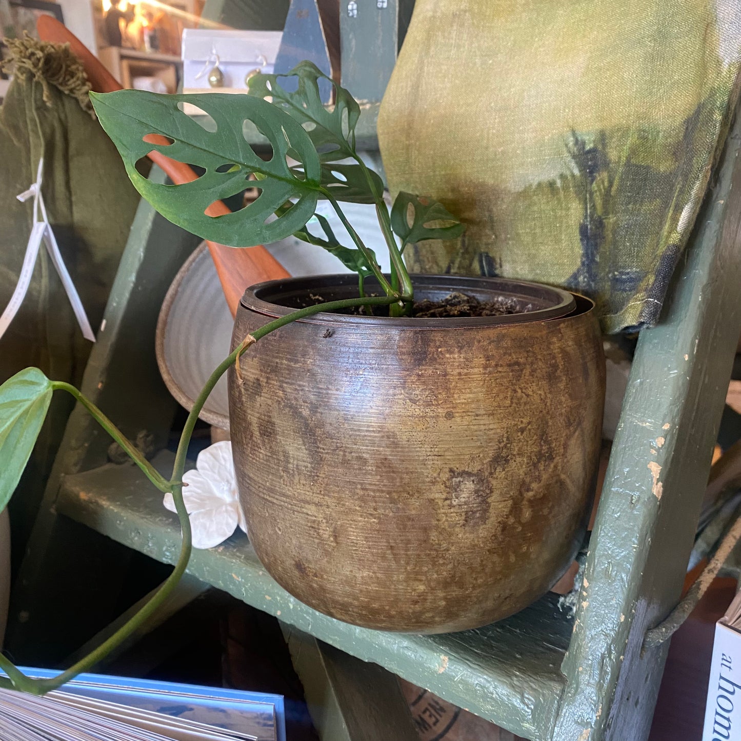 Haveli Antique Brass Finish Planters - 3 sizes