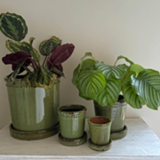 Glazed Green Flower Pot - 12cm