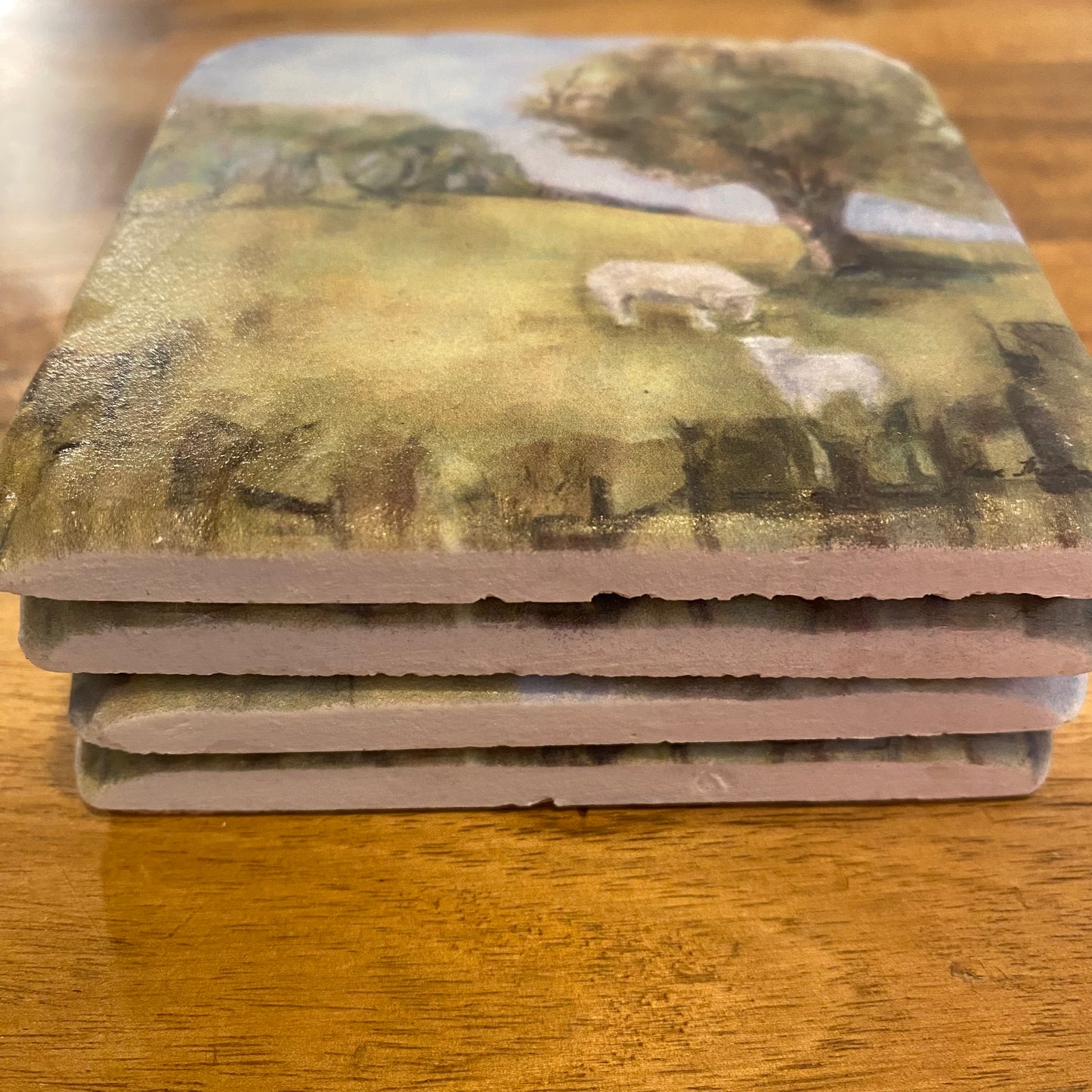 Cornwall Coaster Set of Four