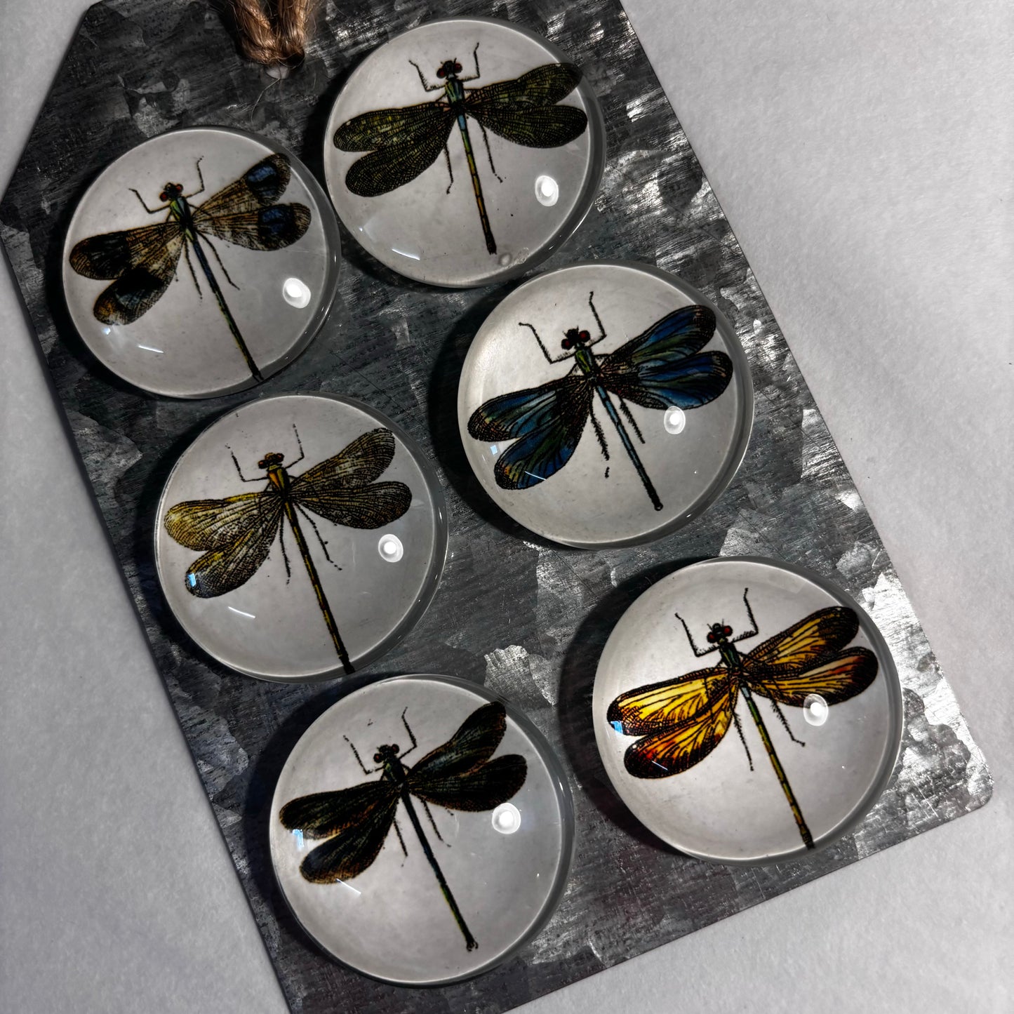Dragonfly Magnets - Set of 6