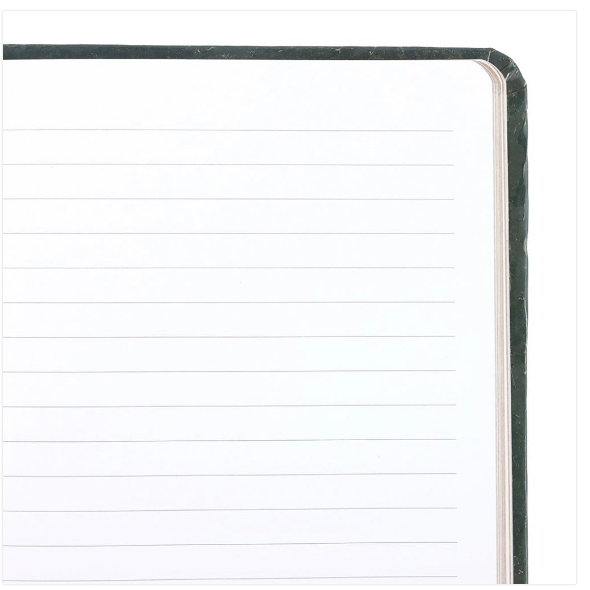 Green Sleeping Fawn Notebook