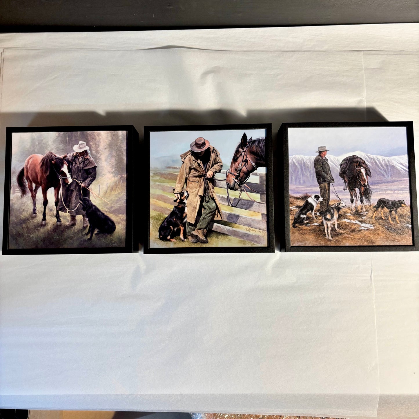 'Affinity' | Julie Greig