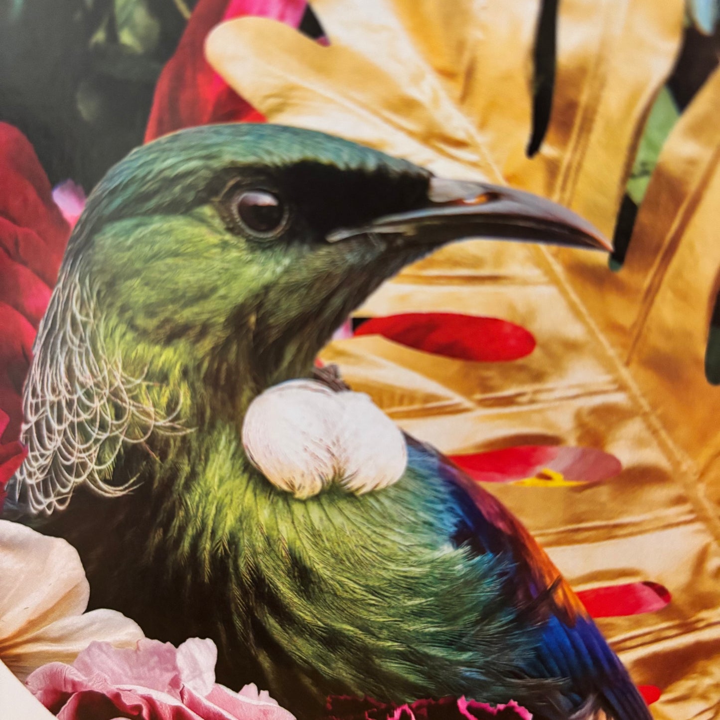 Lucy G Design | Greeting Cards featuring Beautiful Florals and NZ Birds