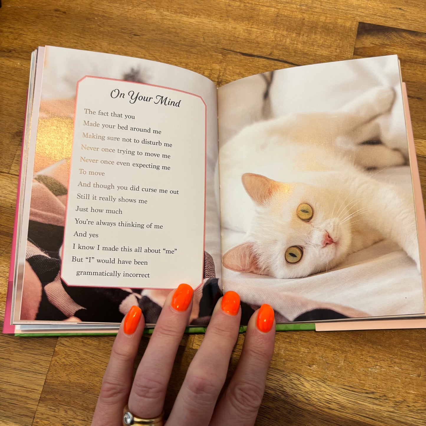 Oh. It's you. Love Poems by Cats