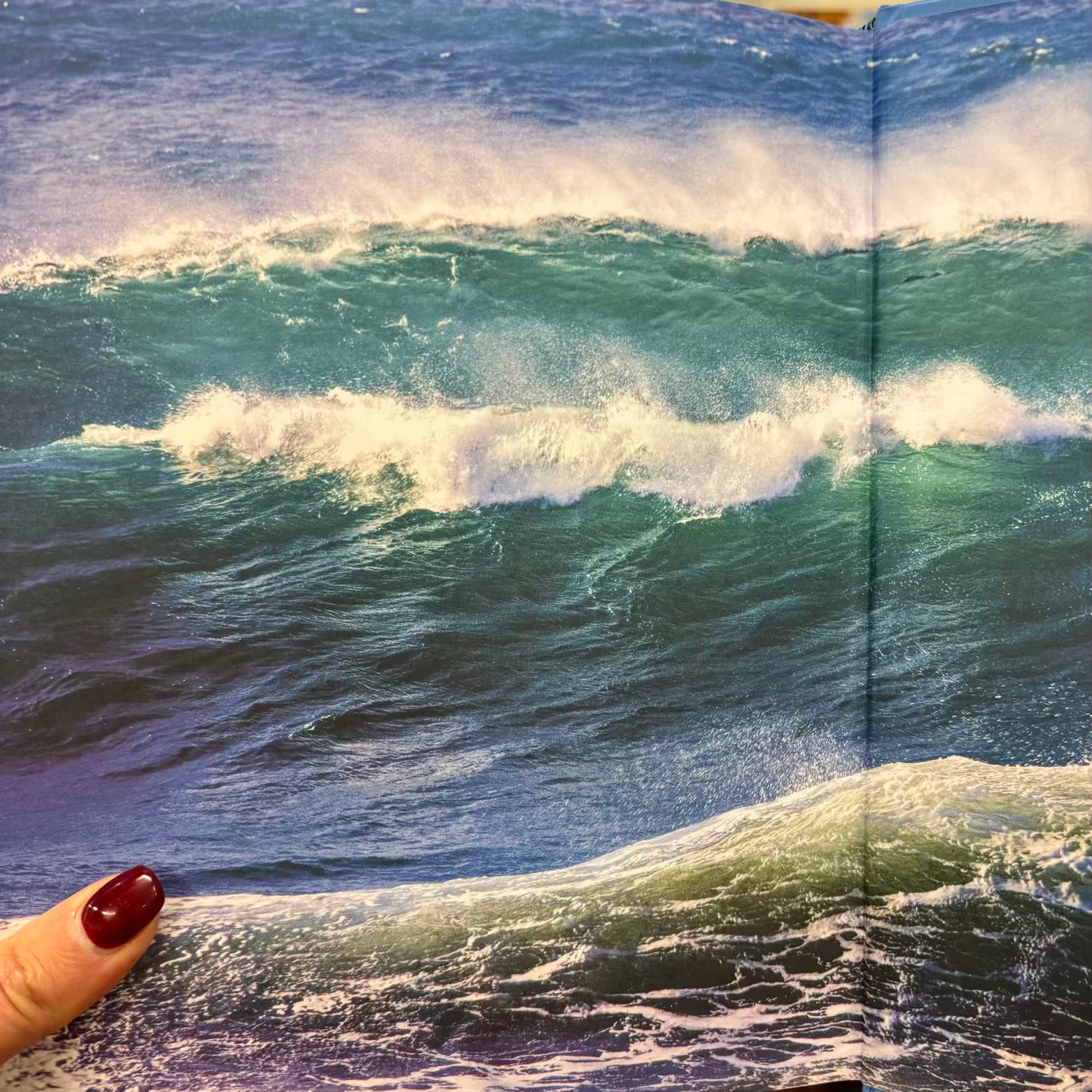 Surf-Side Eating