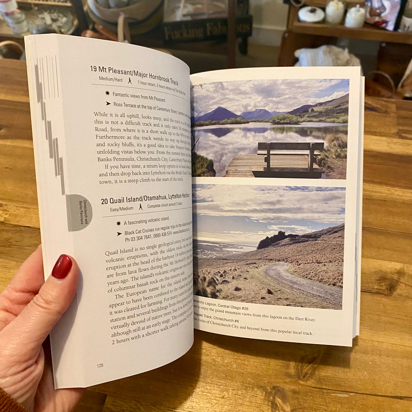 Excellent Short Walks in the South Island by Peter Janssen