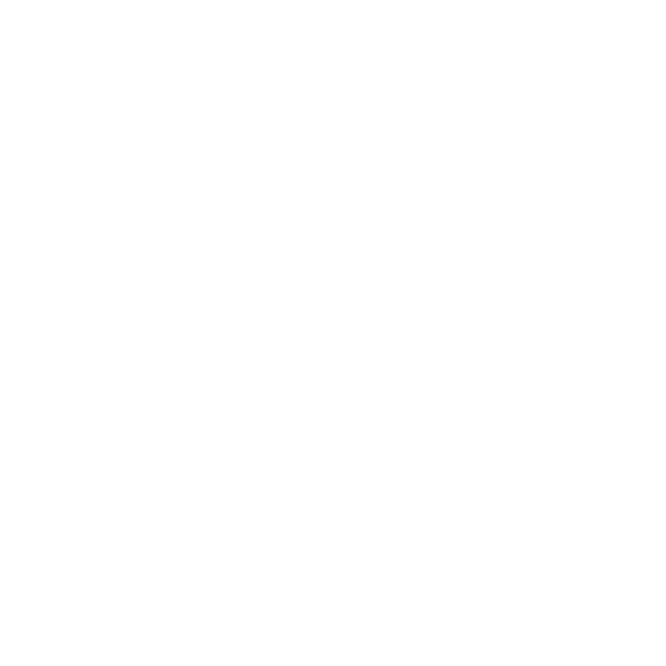 The Quirky Magpie