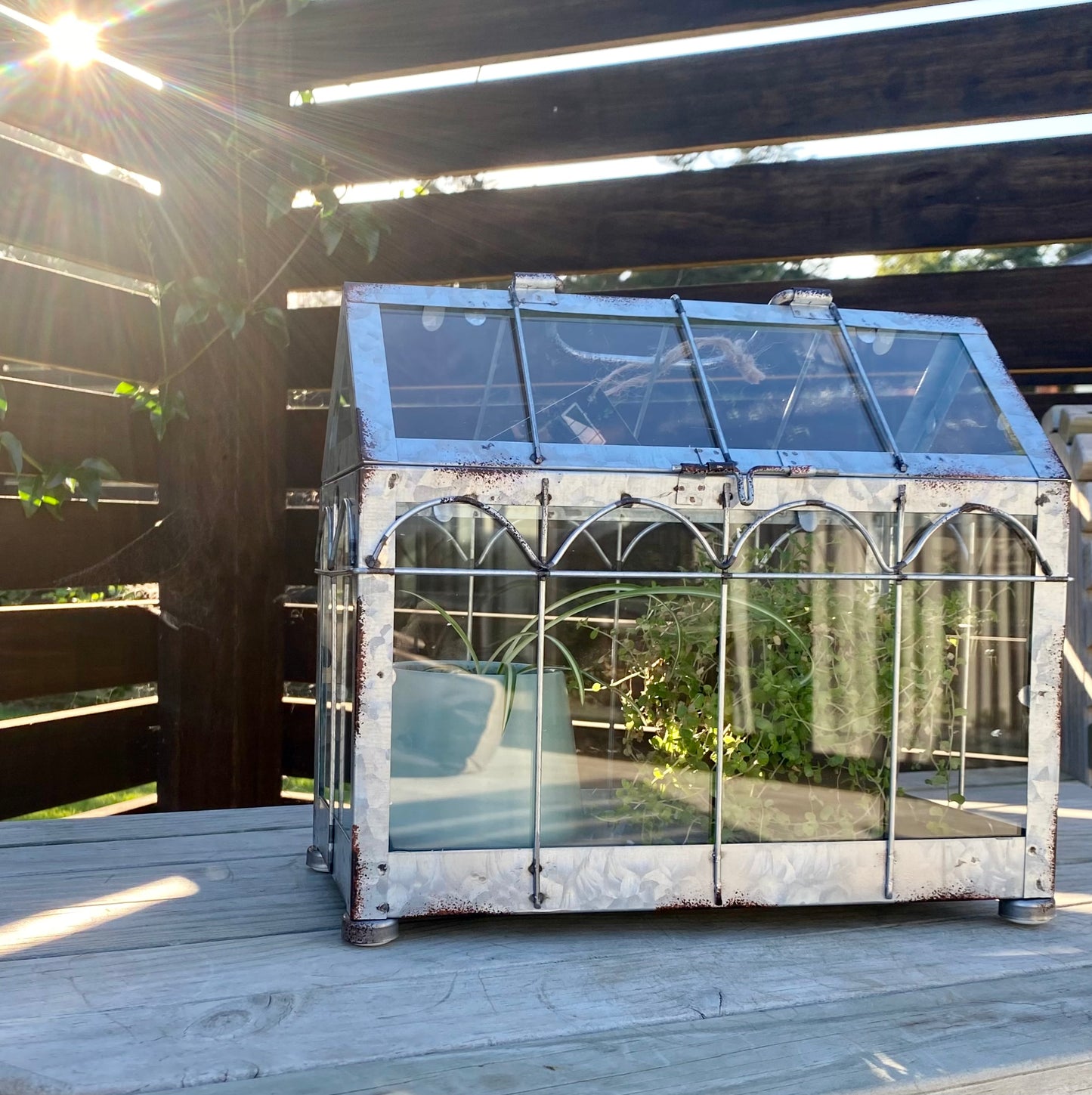 Green House
