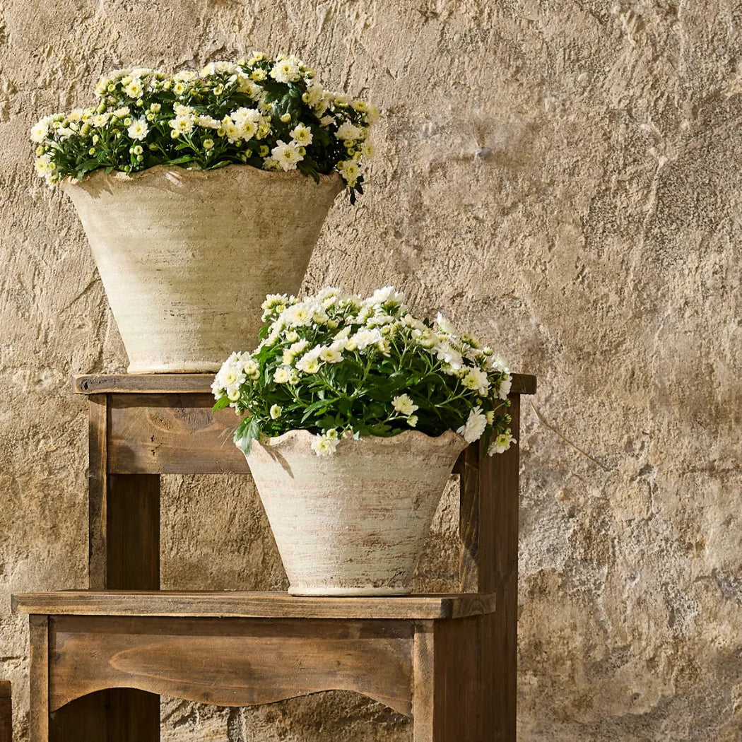 Two flower pots with white flowers on a wooden step against a stone wall.