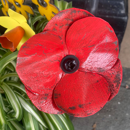 Starting From Zero | Red & Purple Poppies