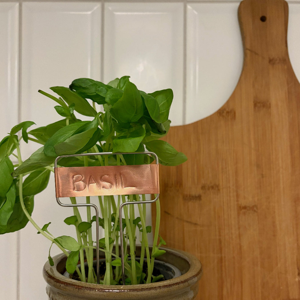 Basil in ceramic pot with a copper plant label. A wooden chopping board in the background against white kitchen tiles