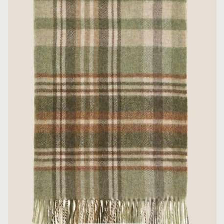 Plaid scarf with fringes on a light background