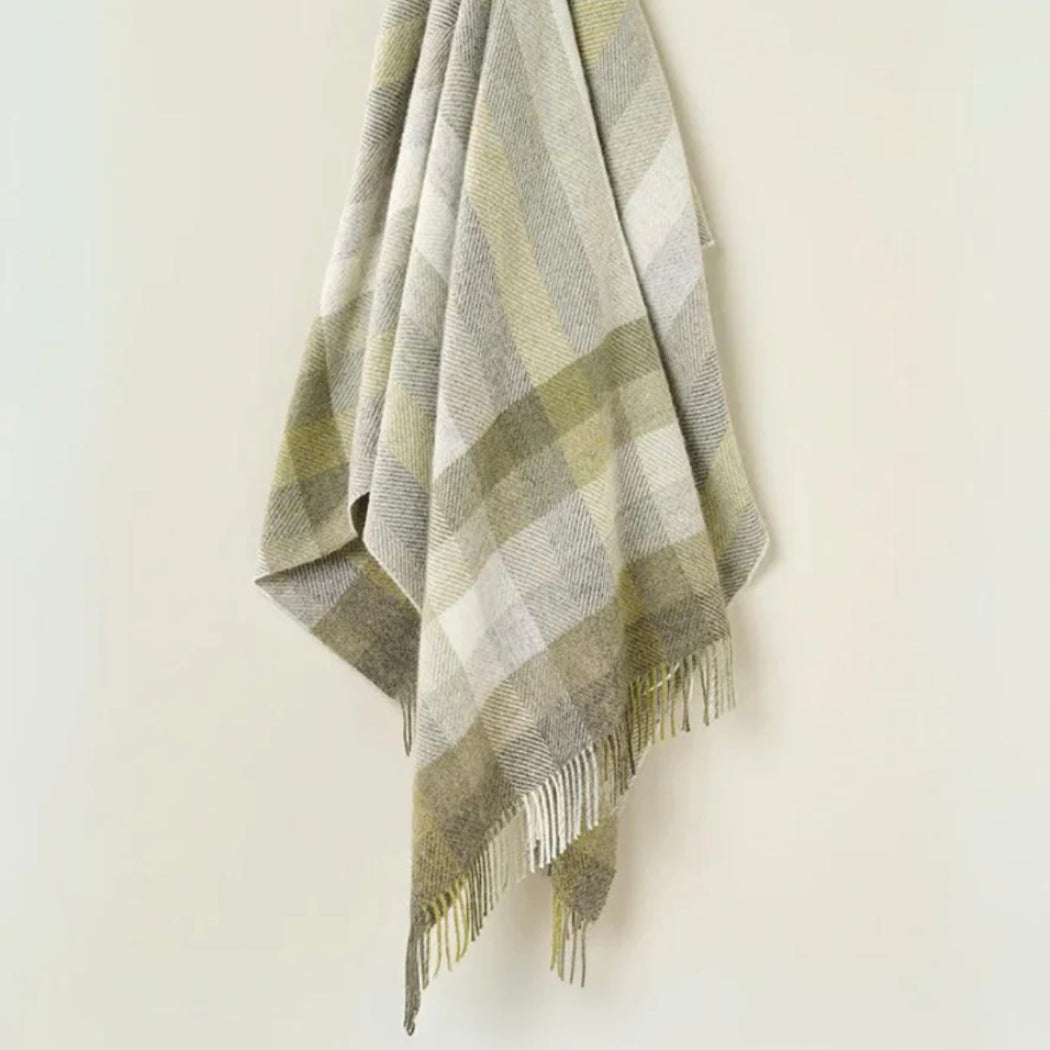 Plaid blanket with fringe on a light background