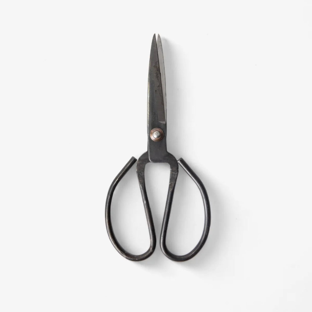 Metal scissors with black handle in a white background