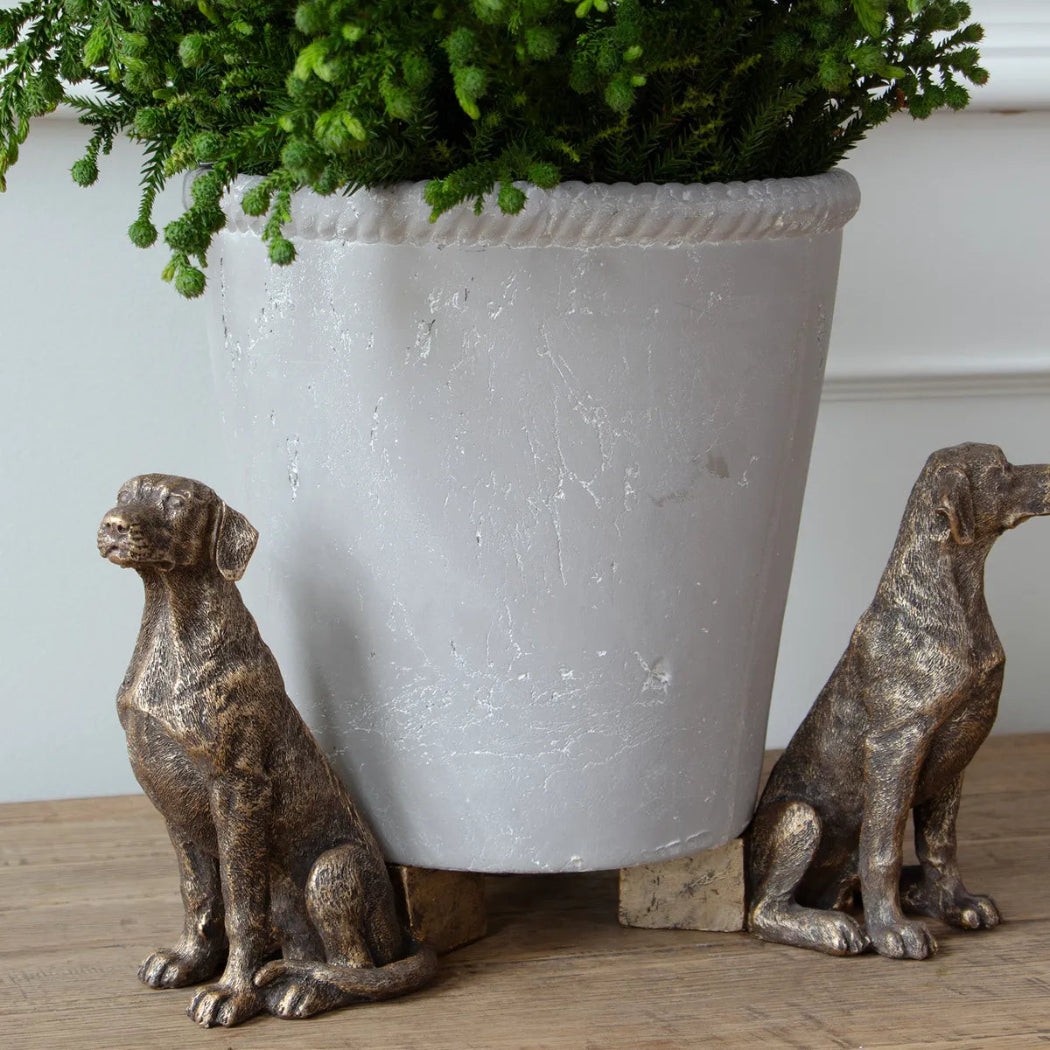 Two bronze dog statues in front of a white pot with greenery on a wooden surface.