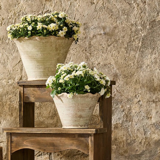 Two flower pots with white flowers on a wooden step against a stone wall.