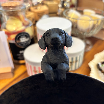 Dog Hangers