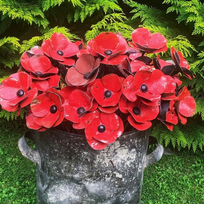 Starting From Zero | Red & Purple Poppies