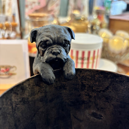 Dog Hangers