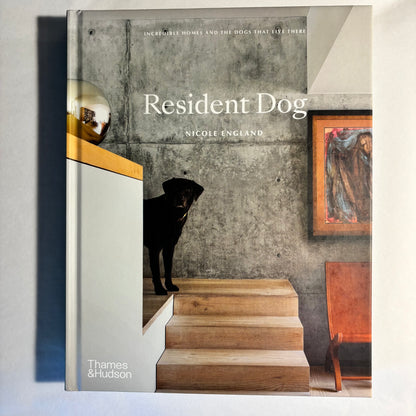 'Resident Dog'