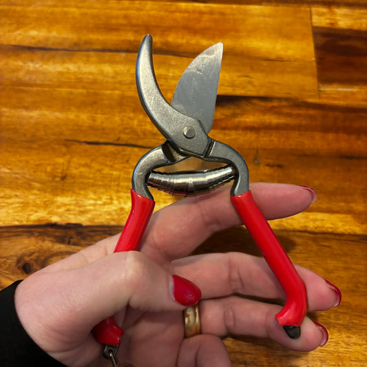 Stainless Steel Pruner