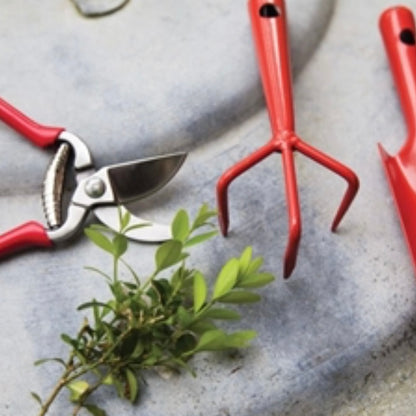 Stainless Steel Pruner