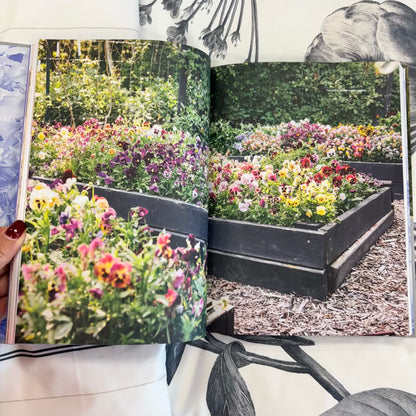 'Pansies'