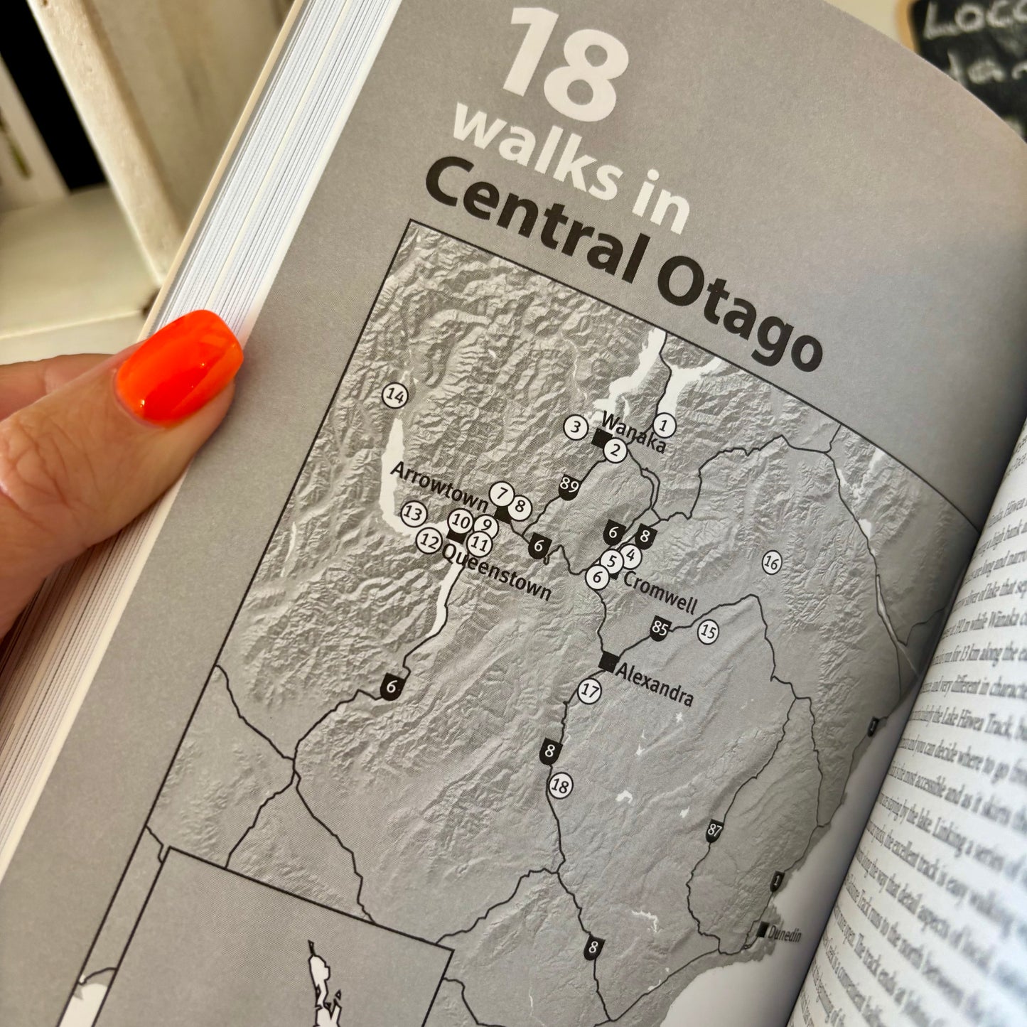A Walk a Day - 365 Short walks in New Zealand by Peter Janssen