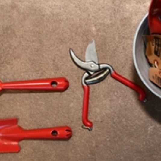 Stainless Steel Pruner