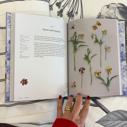 'Pansies'