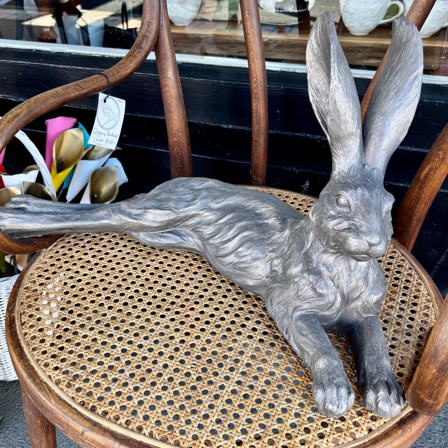 Shadow Country Hare