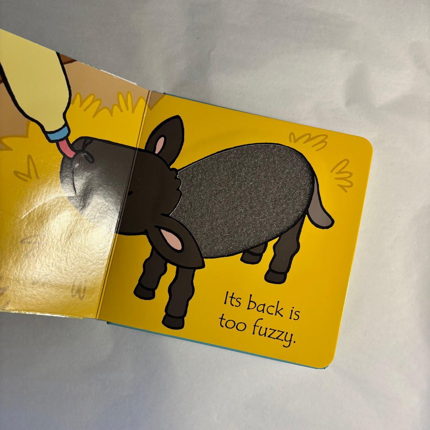 'That's Not My Lamb'