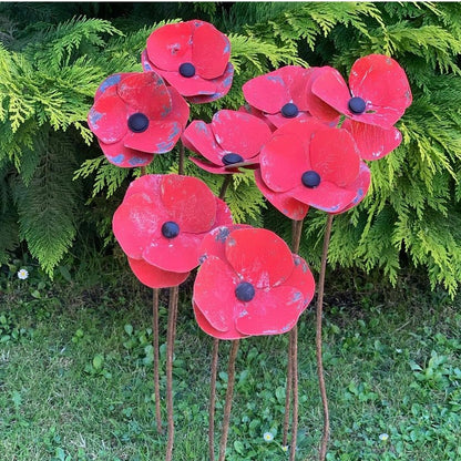 Starting From Zero | Red & Purple Poppies