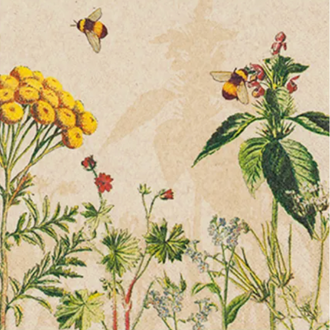Illustration of flowers and a bee on a textured beige background