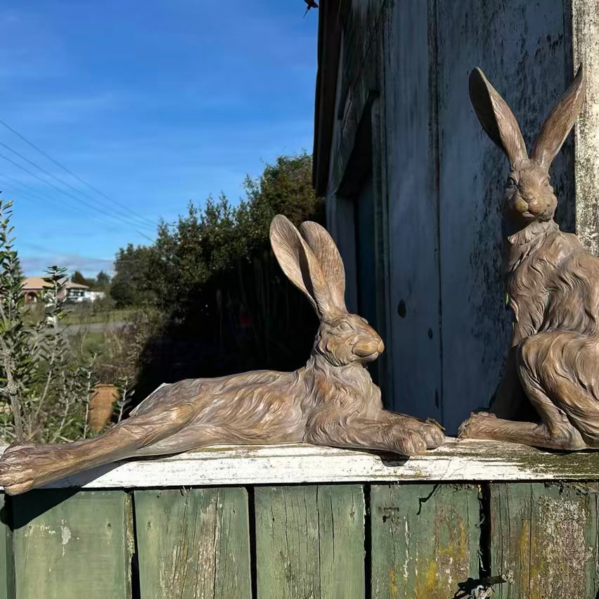 Pecan Country Hare - Resting