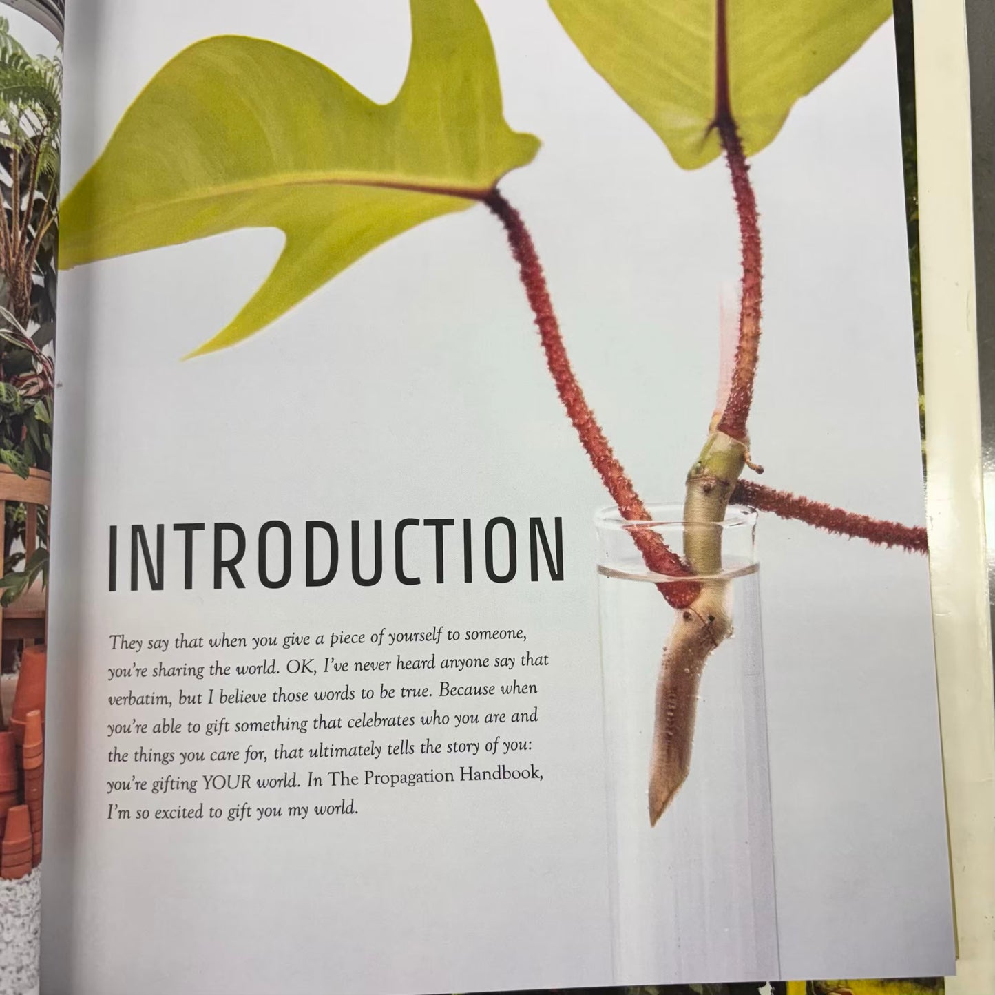‘Propagation Handbook’