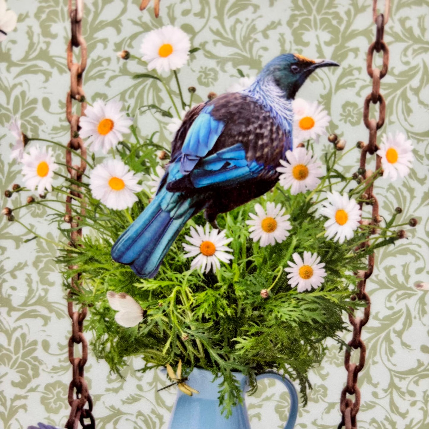 'Daisy Day!' | Sue Skellern