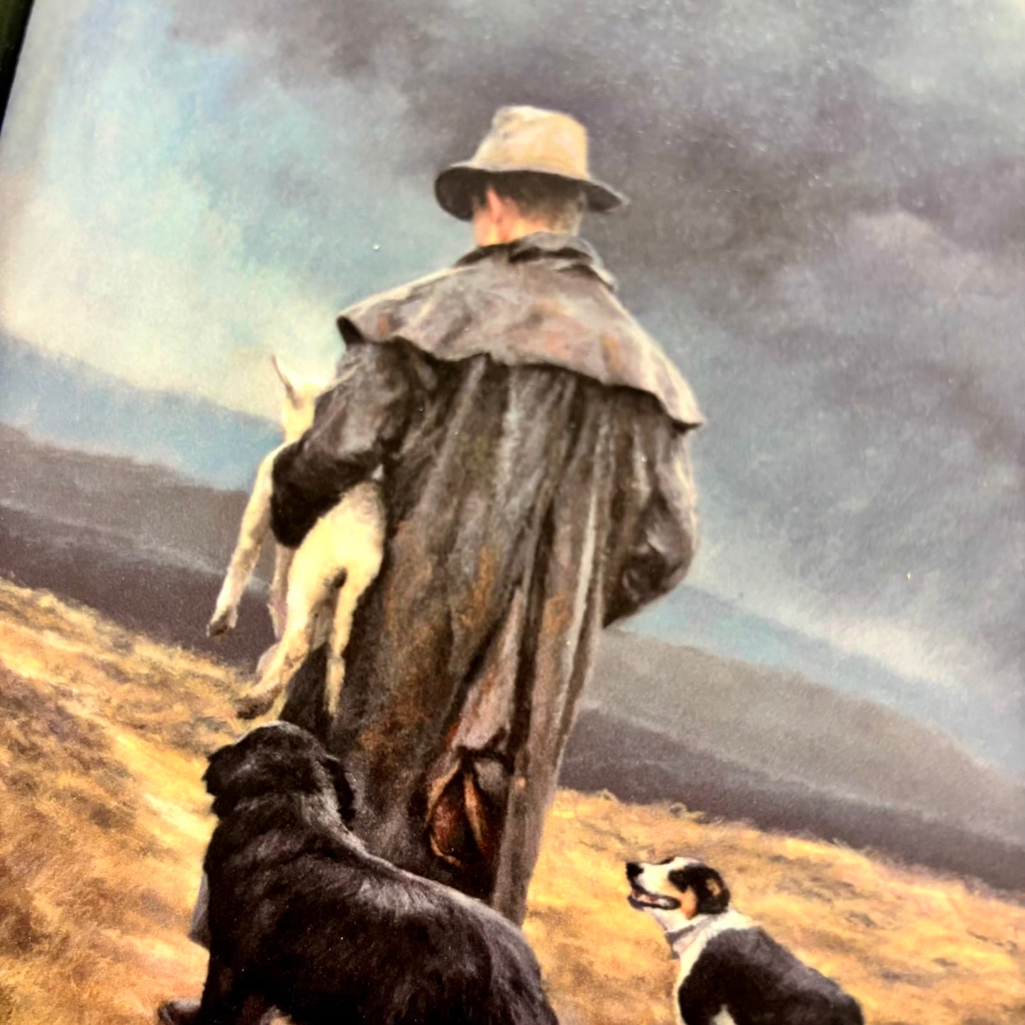 'The Rescue Team' | Julie Greig