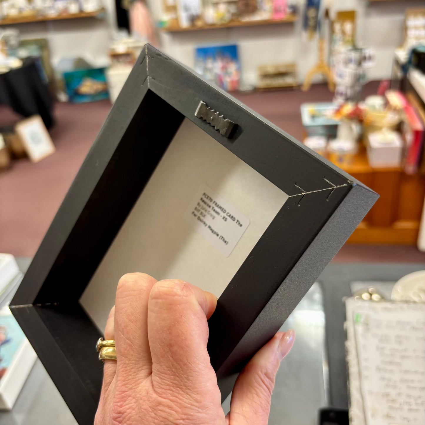 'The Rescue Team' | Julie Greig