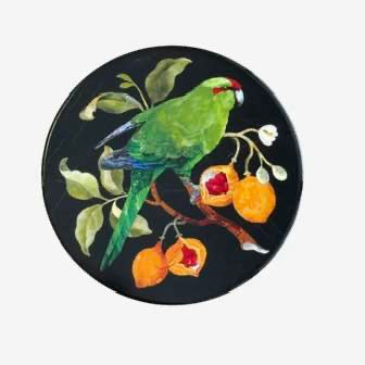 Decorative plate with a parrot and fruit design on a black background