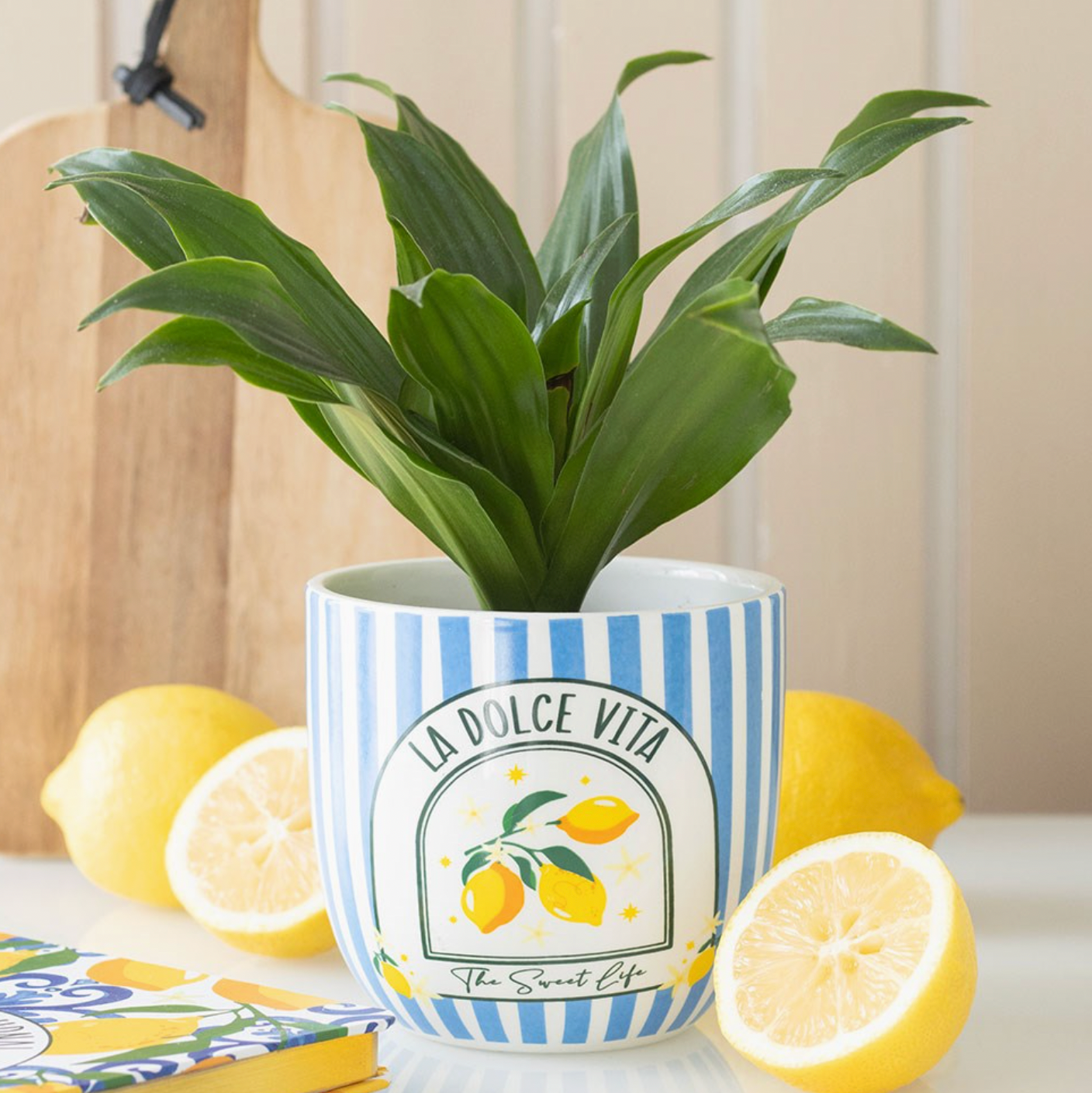 Add a splash of coastal charm to your space with this ceramic plant pot featuring classic blue stripes and La Dolce Vita text