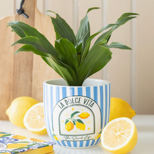 Add a splash of coastal charm to your space with this ceramic plant pot featuring classic blue stripes and La Dolce Vita text