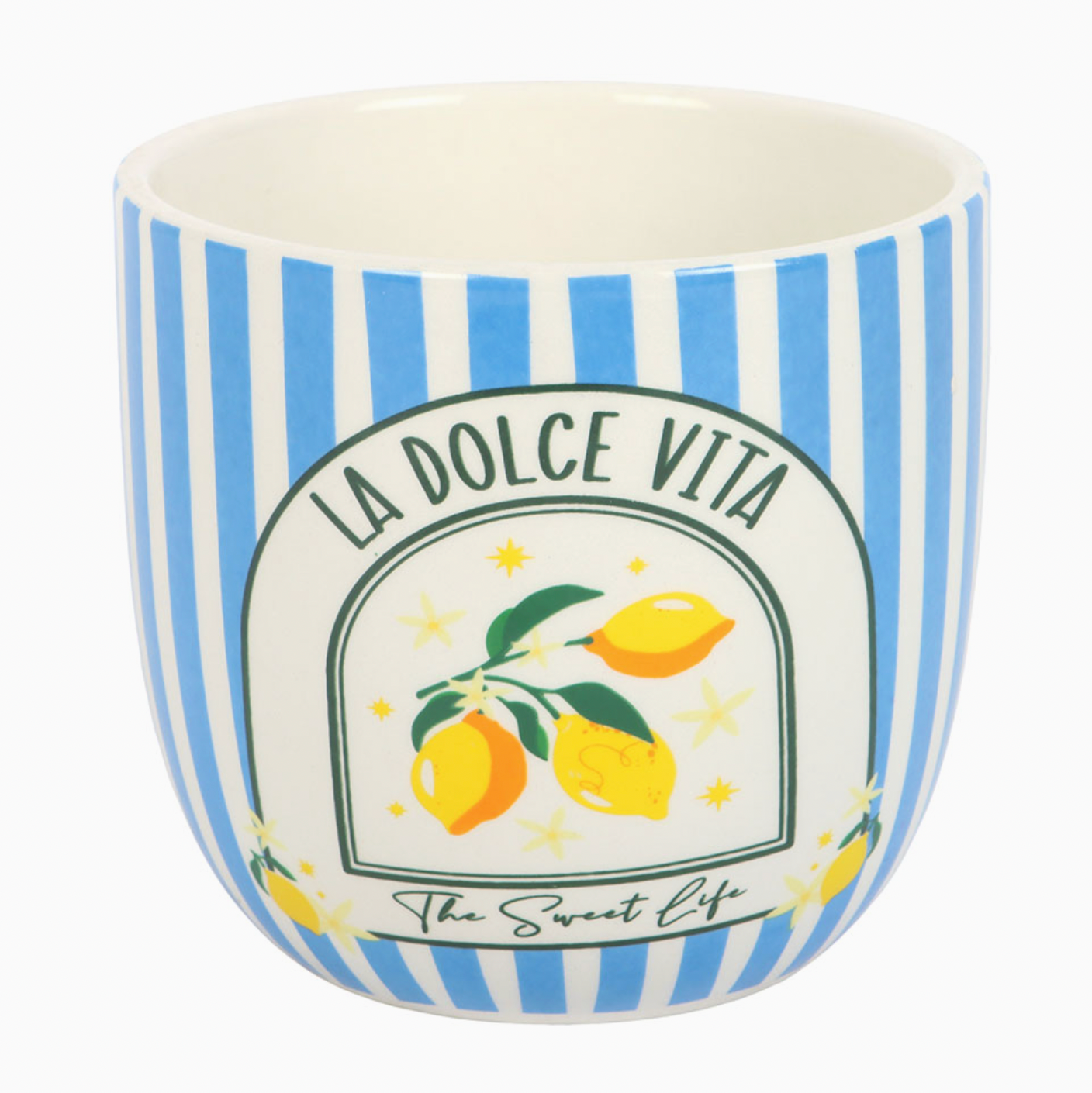 Blue and White Stripe Plant pot with white background