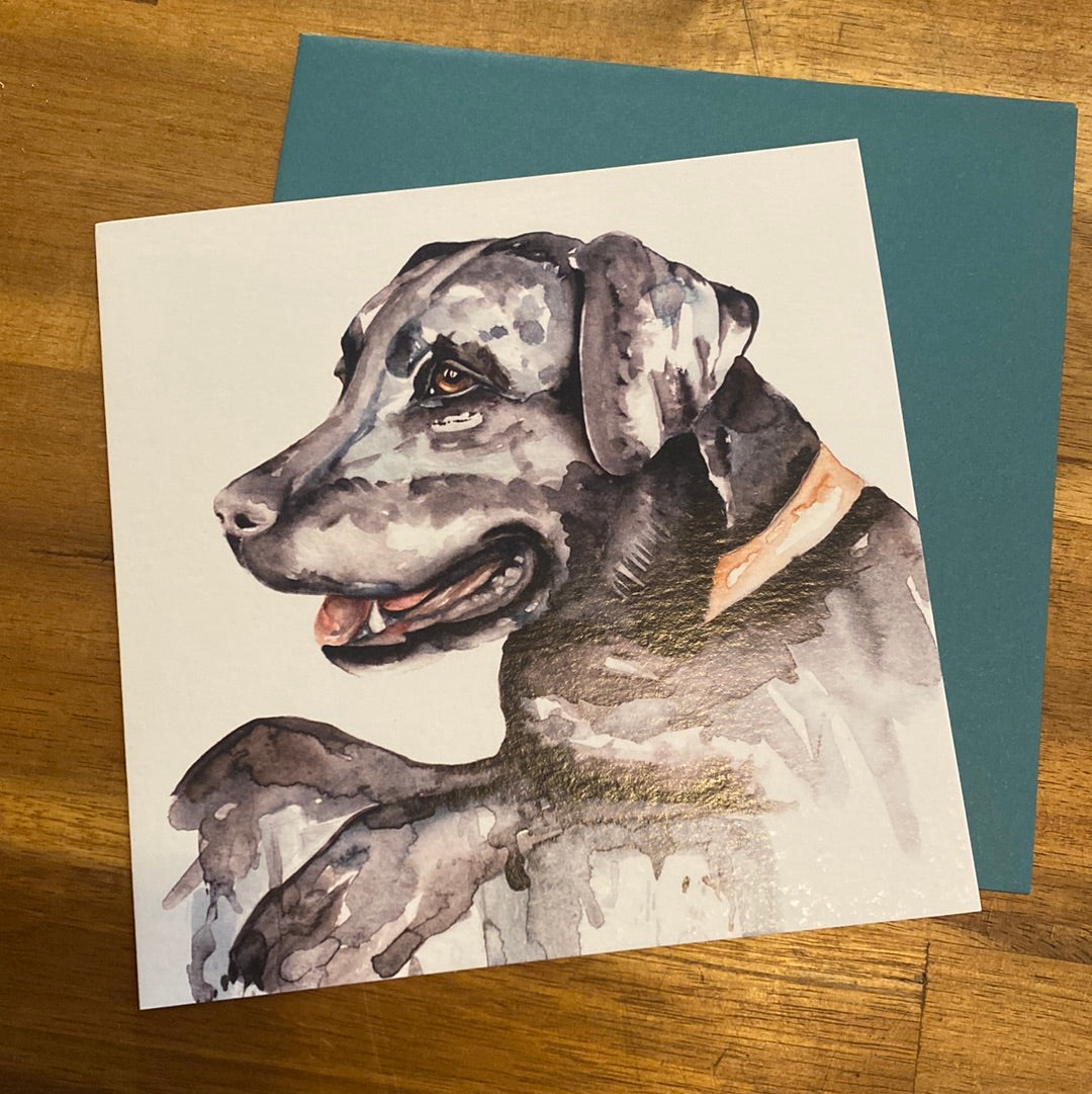 Meg Hawkins | Greeting Cards