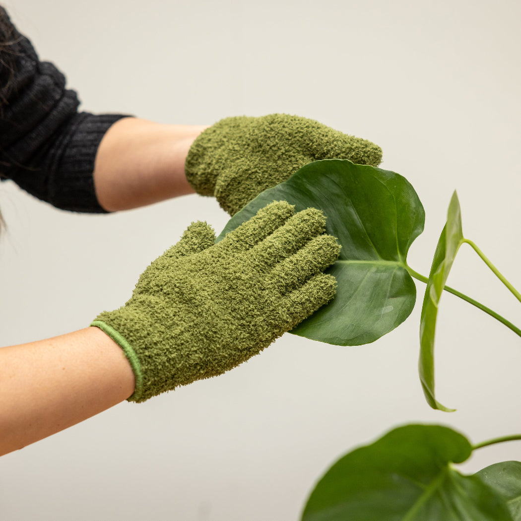 Plant Dust Gloves