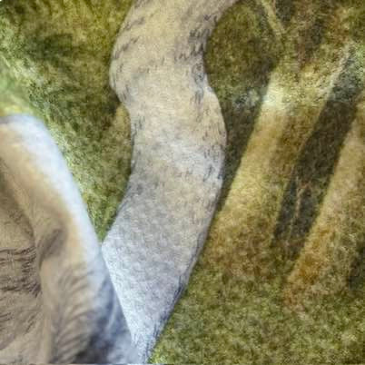 Close up of the Tanya Wolfkampe Heron microfibre teactowel