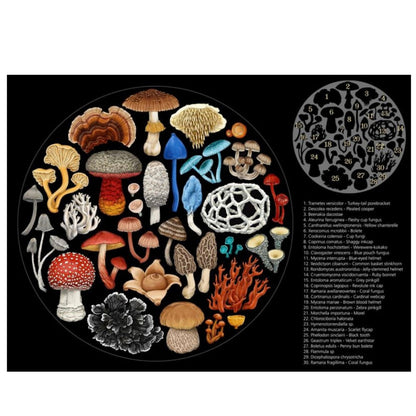 Illustration of various mushrooms arranged in a circular pattern on a black background.