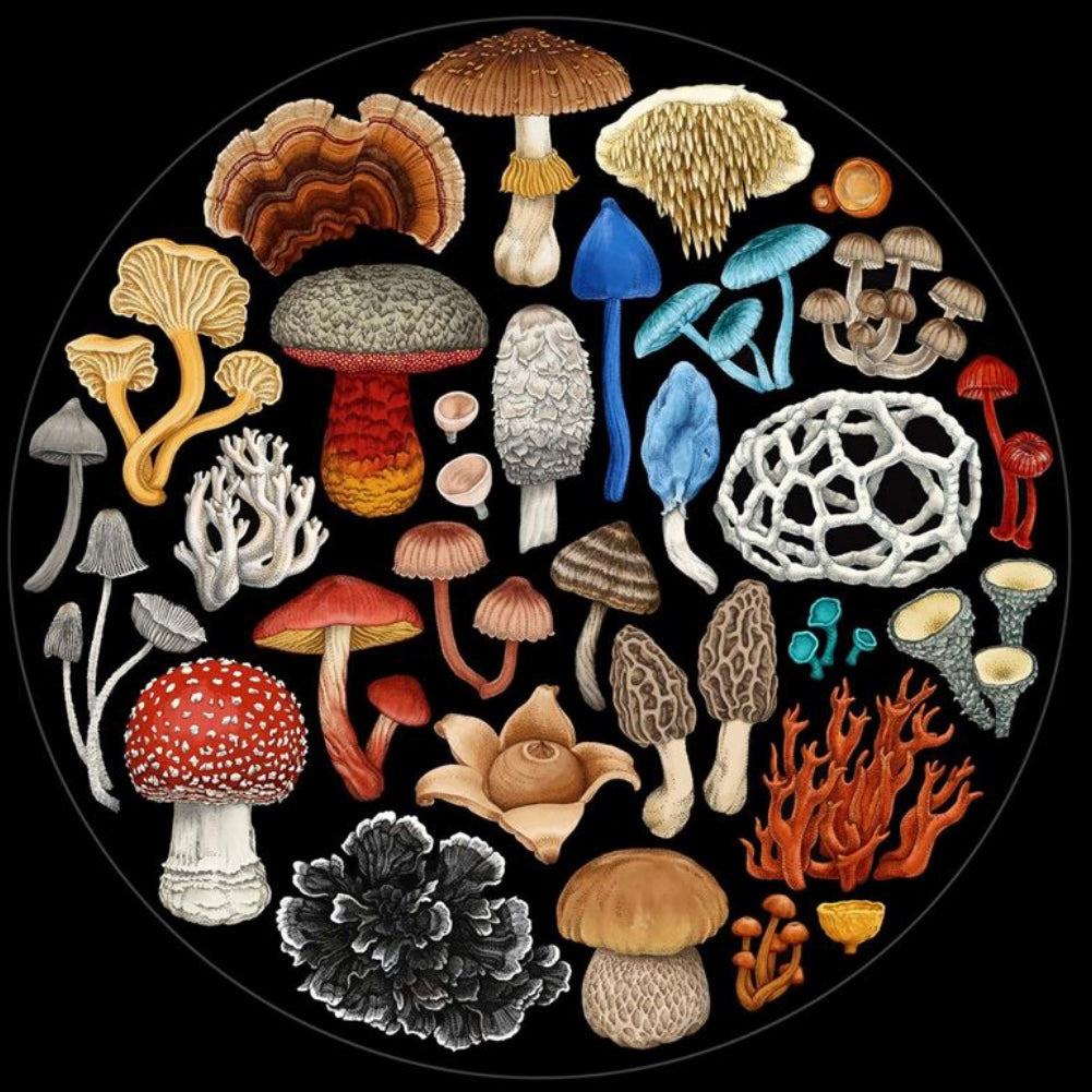 A 1000 piece jigsaw puzzle featuring a collection of various fungi on a black background.